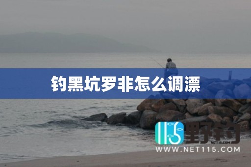 钓黑坑罗非怎么调漂