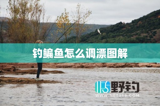 钓鳊鱼怎么调漂图解