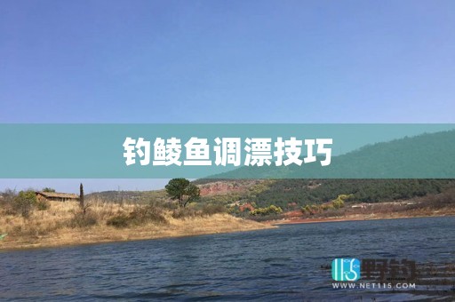 钓鲮鱼调漂技巧