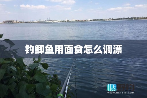 钓鲫鱼用面食怎么调漂