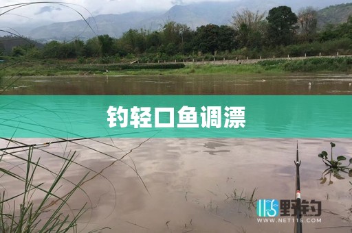 钓轻口鱼调漂