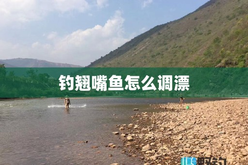 钓翘嘴鱼怎么调漂