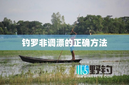 钓罗非调漂的正确方法