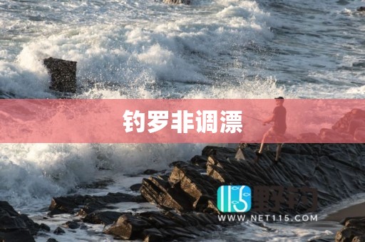 钓罗非调漂