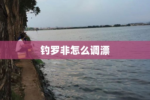 钓罗非怎么调漂