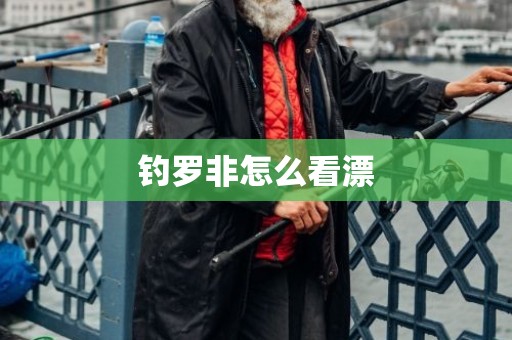 钓罗非怎么看漂
