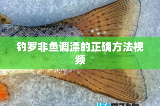 钓罗非鱼调漂的正确方法视频