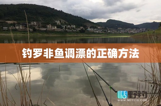 钓罗非鱼调漂的正确方法