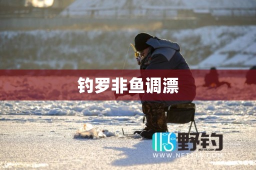 钓罗非鱼调漂