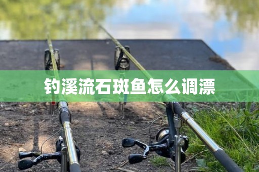 钓溪流石斑鱼怎么调漂