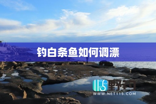 钓白条鱼如何调漂