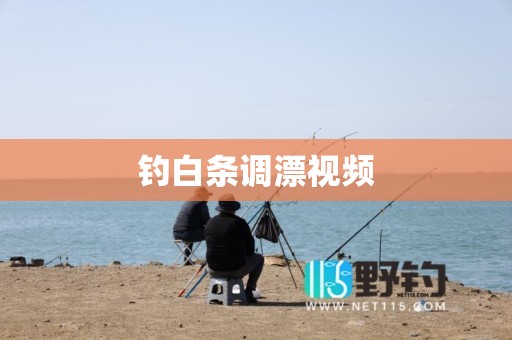 钓白条调漂视频