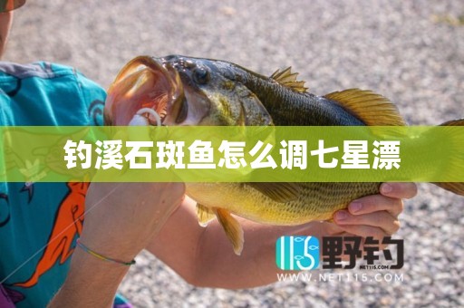 钓溪石斑鱼怎么调七星漂