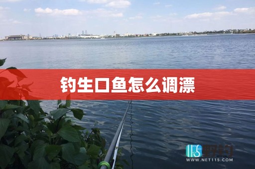 钓生口鱼怎么调漂