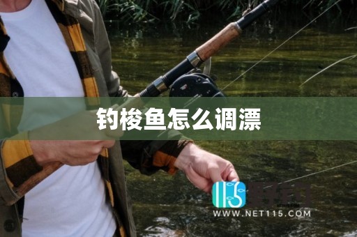 钓梭鱼怎么调漂