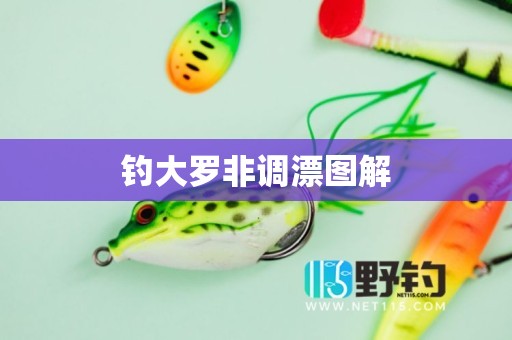 钓大罗非调漂图解