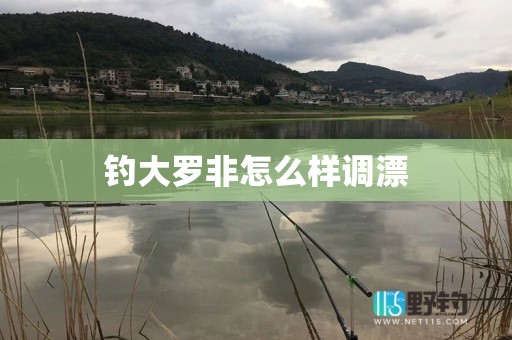 钓大罗非怎么样调漂