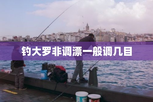 钓大罗非调漂一般调几目