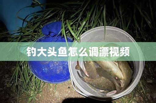 钓大头鱼怎么调漂视频