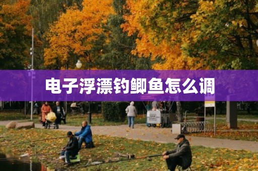 电子浮漂钓鲫鱼怎么调