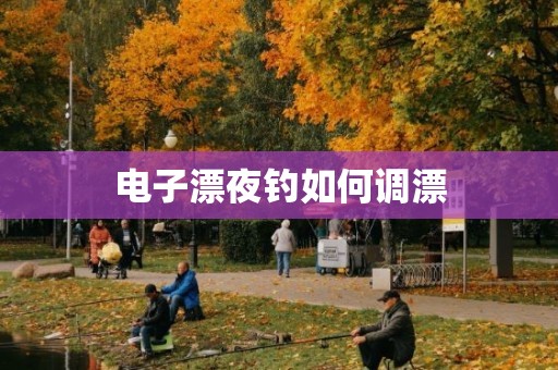 电子漂夜钓如何调漂