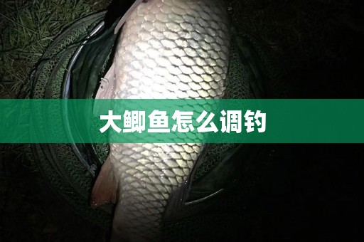 大鲫鱼怎么调钓