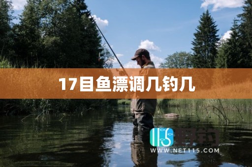 17目鱼漂调几钓几