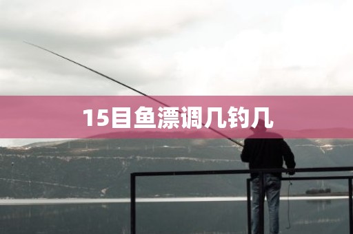 15目鱼漂调几钓几