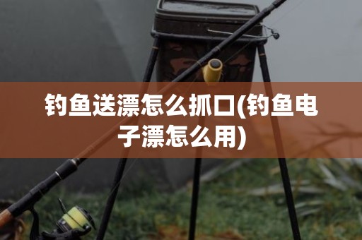 钓鱼送漂怎么抓口(钓鱼电子漂怎么用)