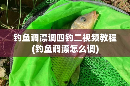 钓鱼调漂调四钓二视频教程(钓鱼调漂怎么调)