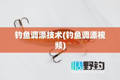钓鱼调漂技术(钓鱼调漂视频)