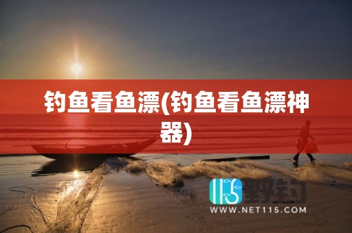 钓鱼看鱼漂(钓鱼看鱼漂神器)