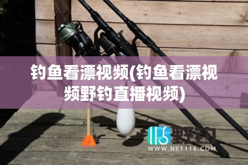 钓鱼看漂视频(钓鱼看漂视频野钓直播视频)