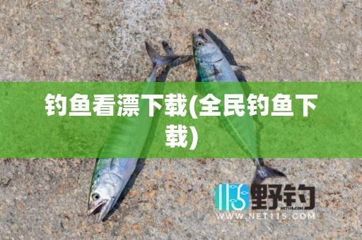 钓鱼看漂下载(全民钓鱼下载)