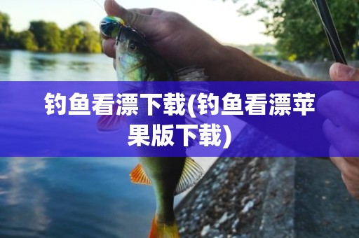 钓鱼看漂下载(钓鱼看漂苹果版下载)