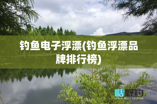钓鱼电子浮漂(钓鱼浮漂品牌排行榜)