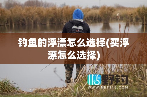 钓鱼的浮漂怎么选择(买浮漂怎么选择)