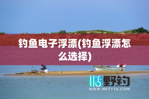 钓鱼电子浮漂(钓鱼浮漂怎么选择)