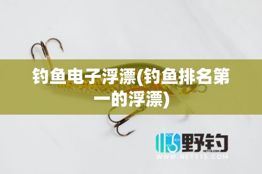 钓鱼电子浮漂(钓鱼排名第一的浮漂)