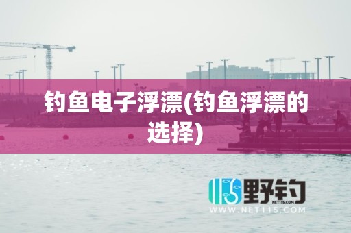 钓鱼电子浮漂(钓鱼浮漂的选择)
