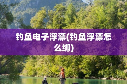 钓鱼电子浮漂(钓鱼浮漂怎么绑)
