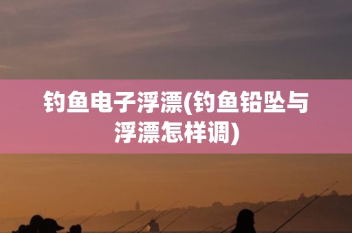 钓鱼电子浮漂(钓鱼铅坠与浮漂怎样调)