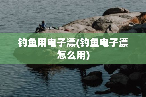 钓鱼用电子漂(钓鱼电子漂怎么用)