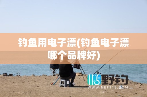 钓鱼用电子漂(钓鱼电子漂哪个品牌好)