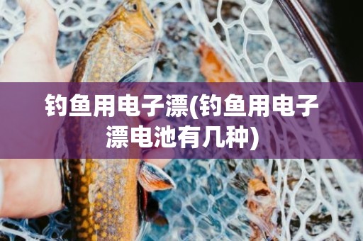 钓鱼用电子漂(钓鱼用电子漂电池有几种)