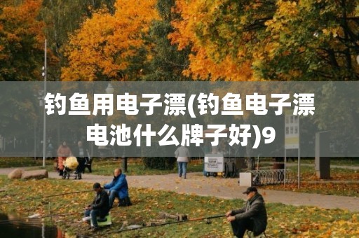 钓鱼用电子漂(钓鱼电子漂电池什么牌子好)9