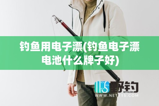 钓鱼用电子漂(钓鱼电子漂电池什么牌子好)