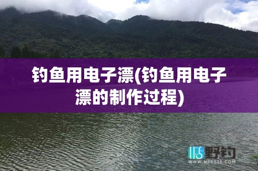 钓鱼用电子漂(钓鱼用电子漂的制作过程)