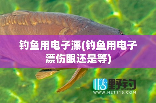 钓鱼用电子漂(钓鱼用电子漂伤眼还是等)