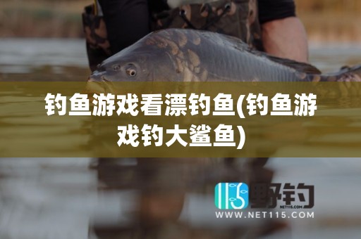 钓鱼游戏看漂钓鱼(钓鱼游戏钓大鲨鱼)